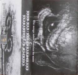 Uruk-Hai (AUT) : The Songs Never Remains The Same